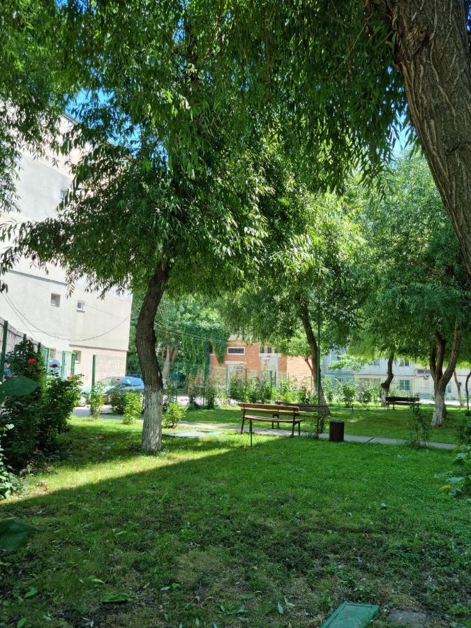 شقة Garsoniere Aby Turnu Măgurele المظهر الخارجي الصورة